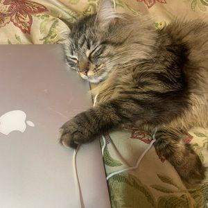 Meet your Posher, Ryan taylor